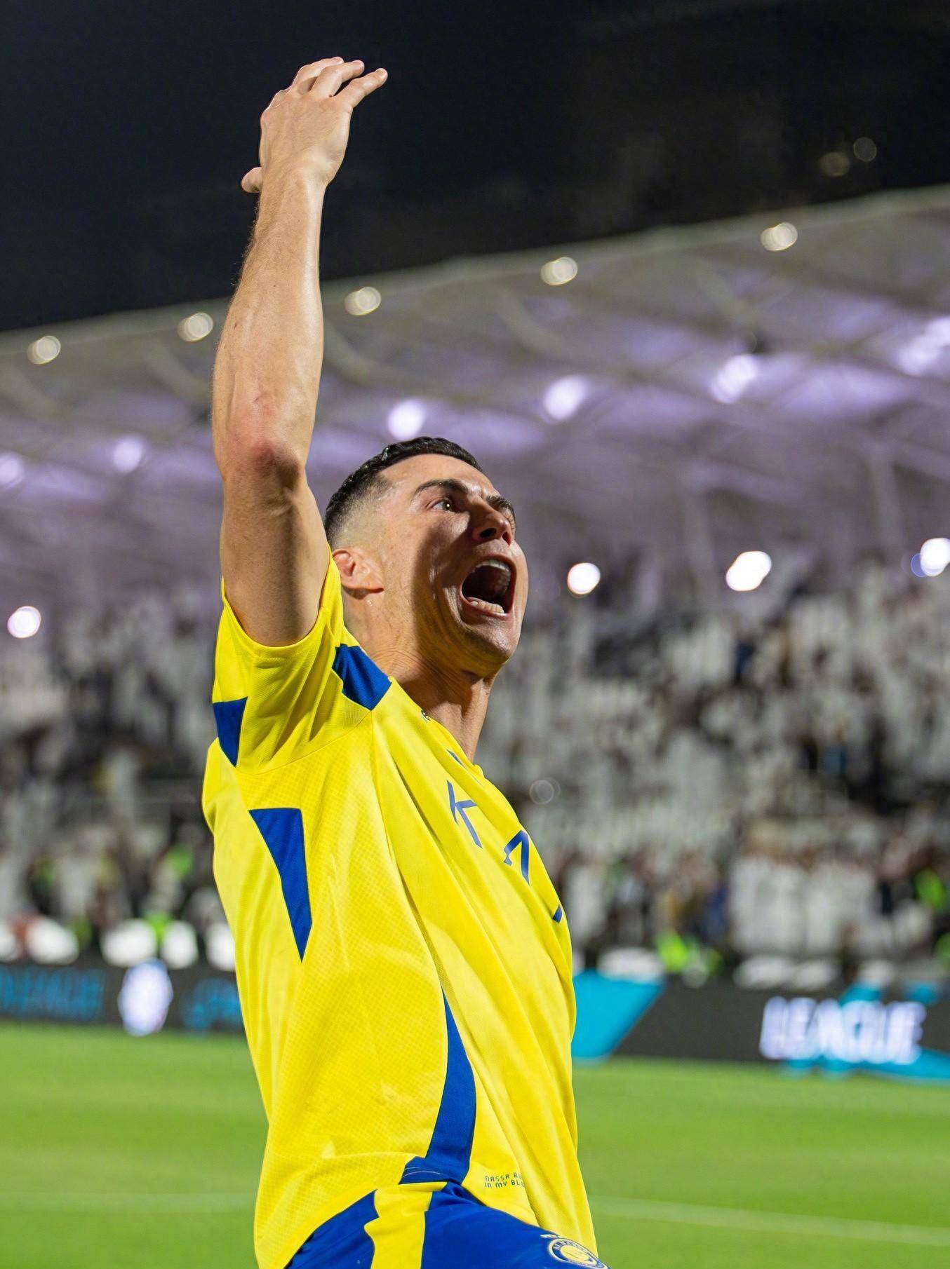 还能在逆境 还能在逆境